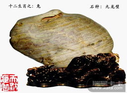十二生肖奇石鑒賞 自然與文化的奇妙交融